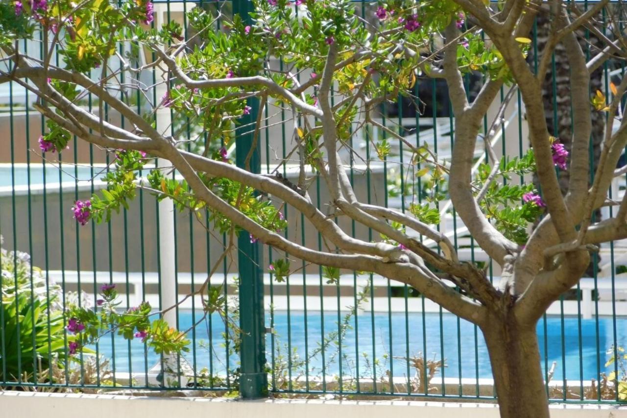 דירות "T2 "Antibes Les Pins 3" Air Conditionned Sea View With Parking And Pool" מראה חיצוני תמונה